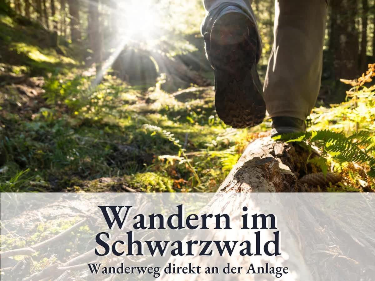 Relax-Apartment 164 Mit Indoor-Pool, Sauna, Kueche Und Netflix Schonach im Schwarzwald Eksteriør bilde
